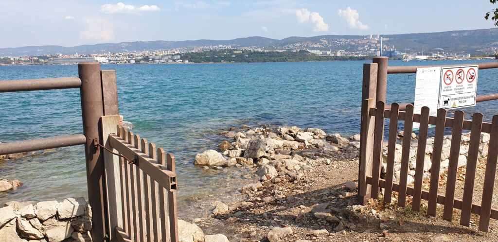 muggia